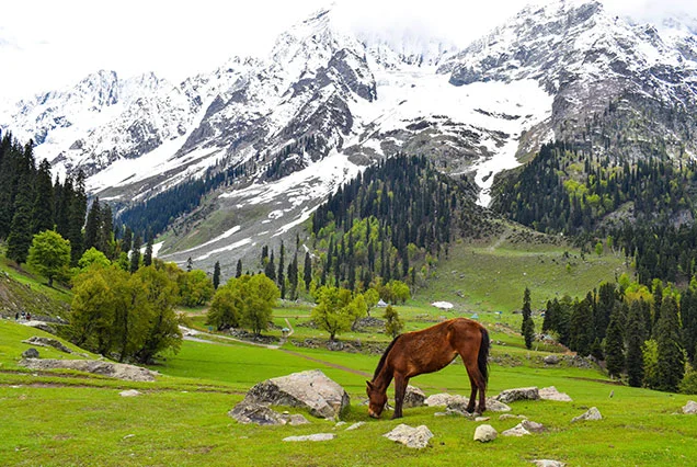 Jammu & Kashmir Offbeat Tours.